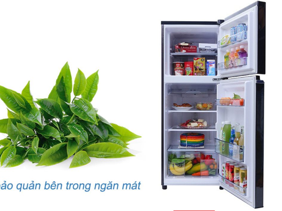 Bảo quản lá trà xanh trong ngăn mát tủ lạnh