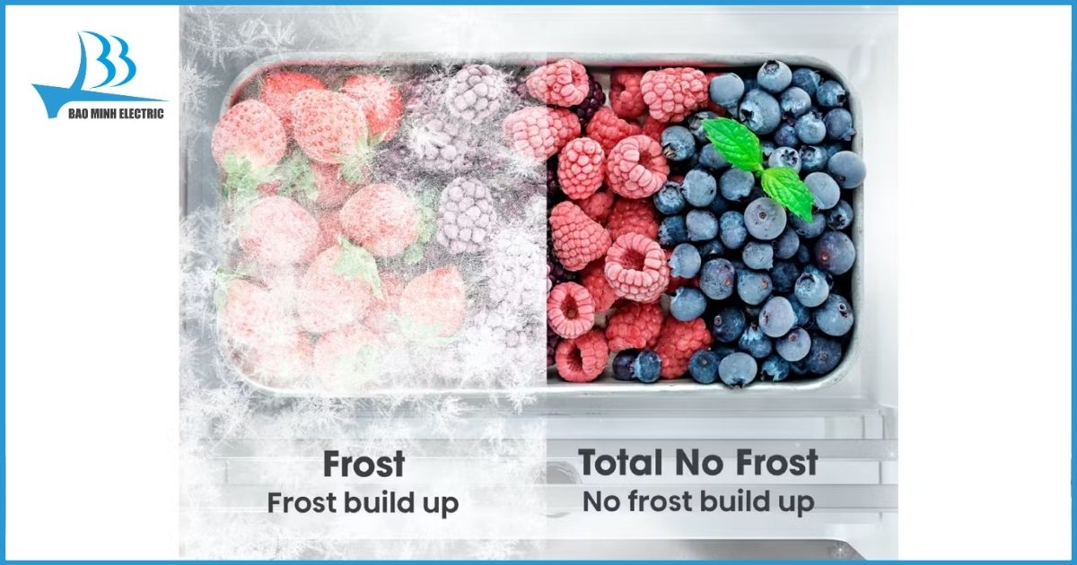 Công nghệ Total No Frost đánh bay nỗi lo đóng tuyết