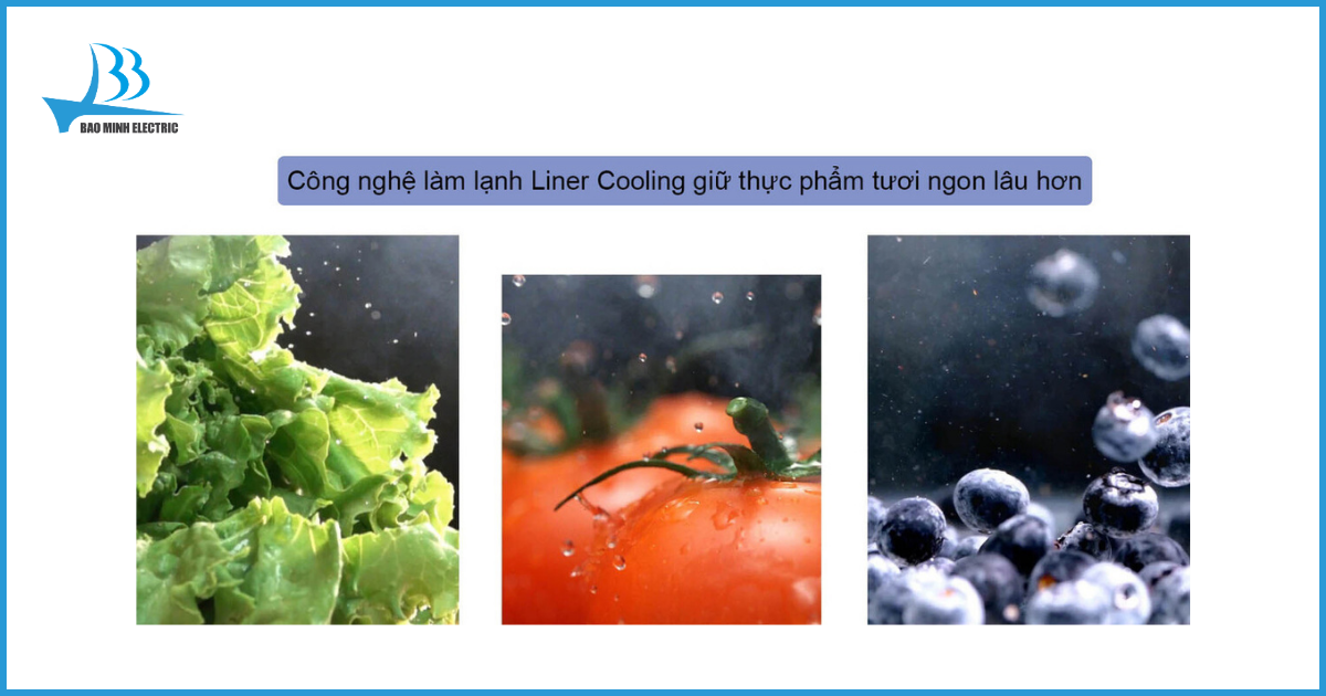 Công nghệ Liner Cooling giữ thực phẩm tươi ngon trong thời gian dài hơn