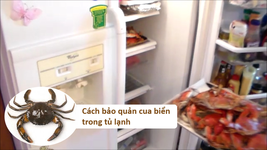 Cách bảo quản thịt cua cho bé ăn dặm trong tủ lạnh khi cua còn sống 
