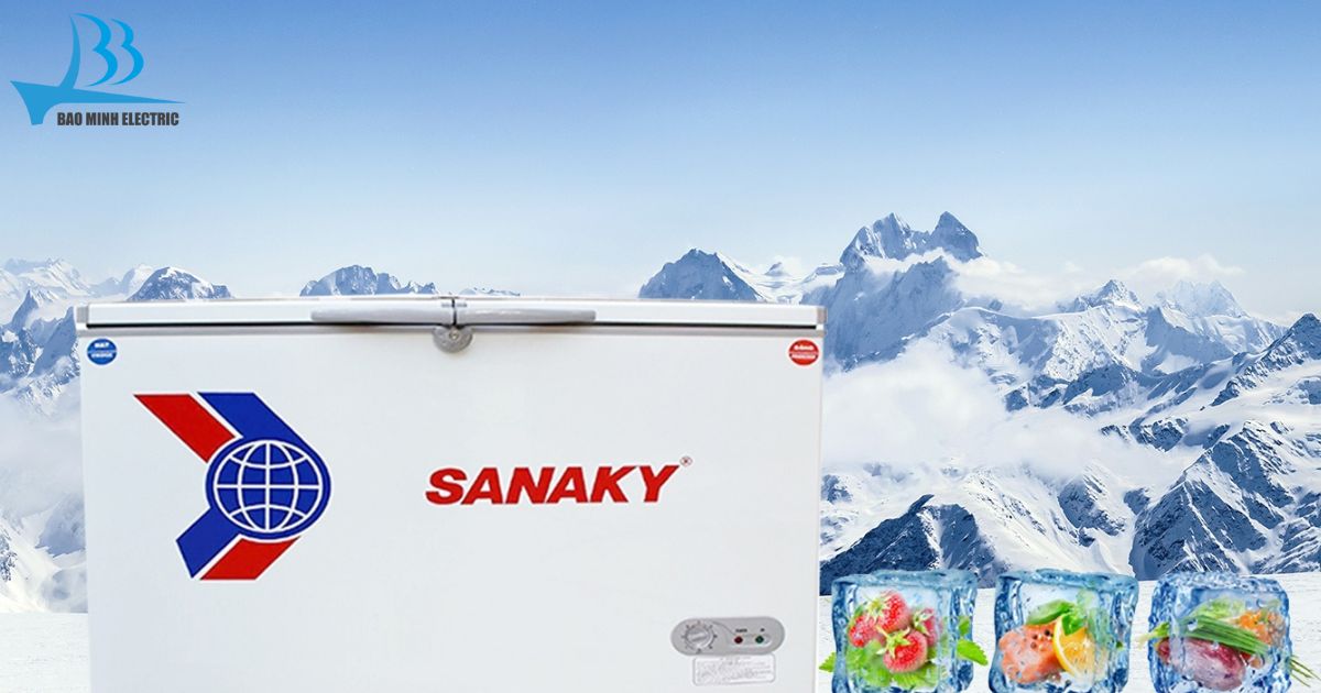 Tủ Đông Sanaky VH365W2 sở hữu thiết kế 2 ngăn và 2 cánh mở tiện lợi