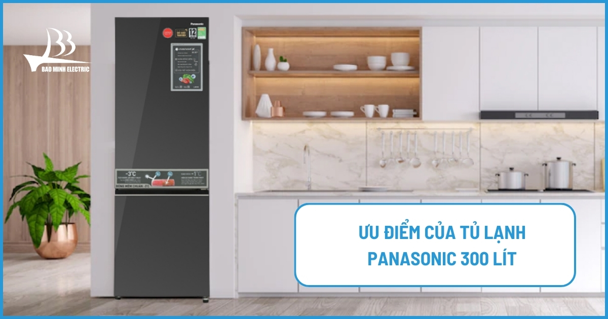 Ưu điểm nổi bật của tủ lạnh Panasonic 300 lít