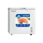 Tủ đông Hòa Phát HPF AD6162-1