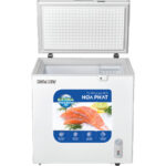 Tủ đông Hòa Phát HPF AD6162-2