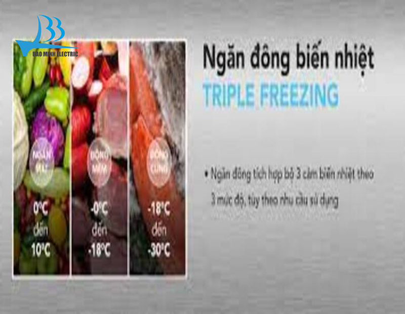 Triple Freezing chắc chắn rằng sản phẩm thực sự được bảo quản trong tủ đông Hòa Phát HSF AD6280.C1