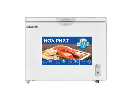 Tủ đông Hòa Phát HPF AN6252