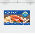 Tủ đông Hòa Phát HPF BN6245