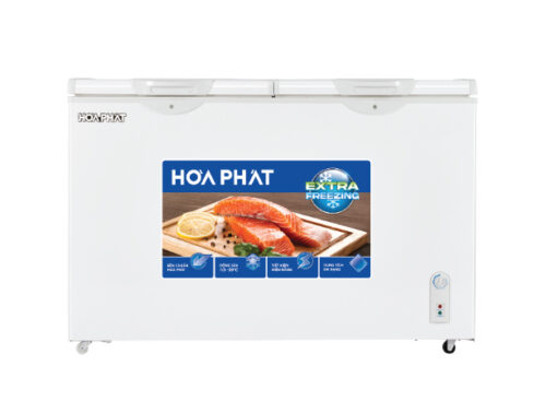 Tủ đông Hòa Phát HPF BD6254