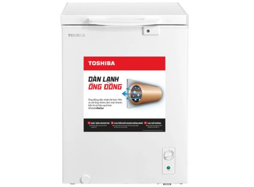 Tủ đông Toshiba GR-RC185CM-PMV(01)